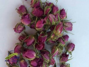 Supplier Dried Damask Rose Buds 