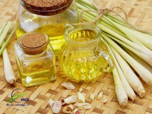 Lemon grass Essential Oil ( Oil)  For Sale 