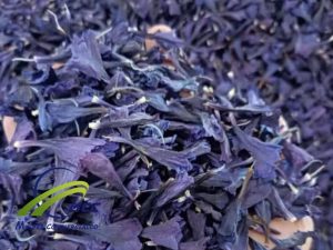 Wholesale Organic Dried Echium Amoenum ( Dried Borage Flowers) 