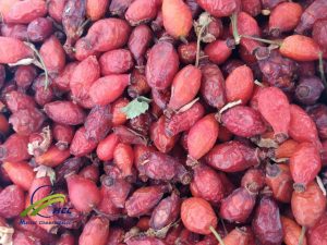 Wholesale ( Bulk ) Dried Rose Hip 