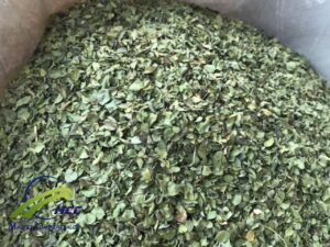 Manufacturer & Supplier Dried Zataria Multiflora ( Shirazi Thyme) Leaves 