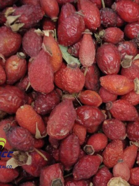 Wholesale ( Bulk ) Dried Rose Hips