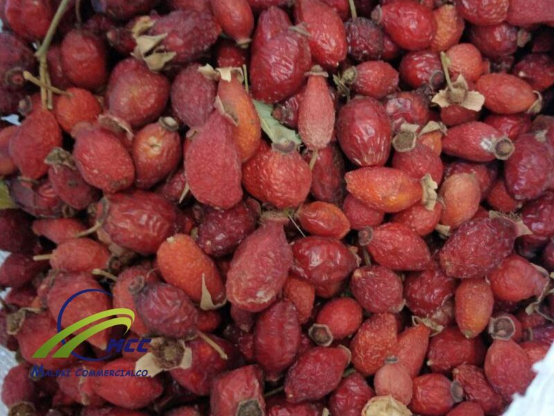 Wholesale ( Bulk ) Dried Rose Hips