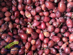 Bulk ( Wholesale) Whole Rose Hips