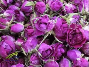 Buy Wholesale Organic Dried Damask Rose 