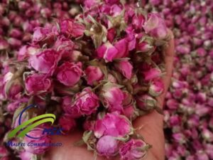 Wholesale  Dried Damask Rose Buds 